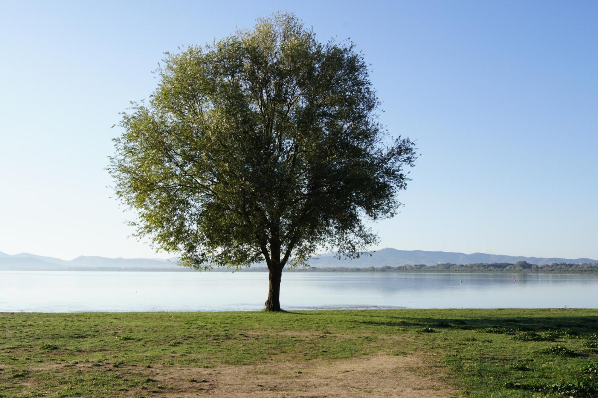 Residence Al Lago Castiglione del Lago Dış mekan fotoğraf