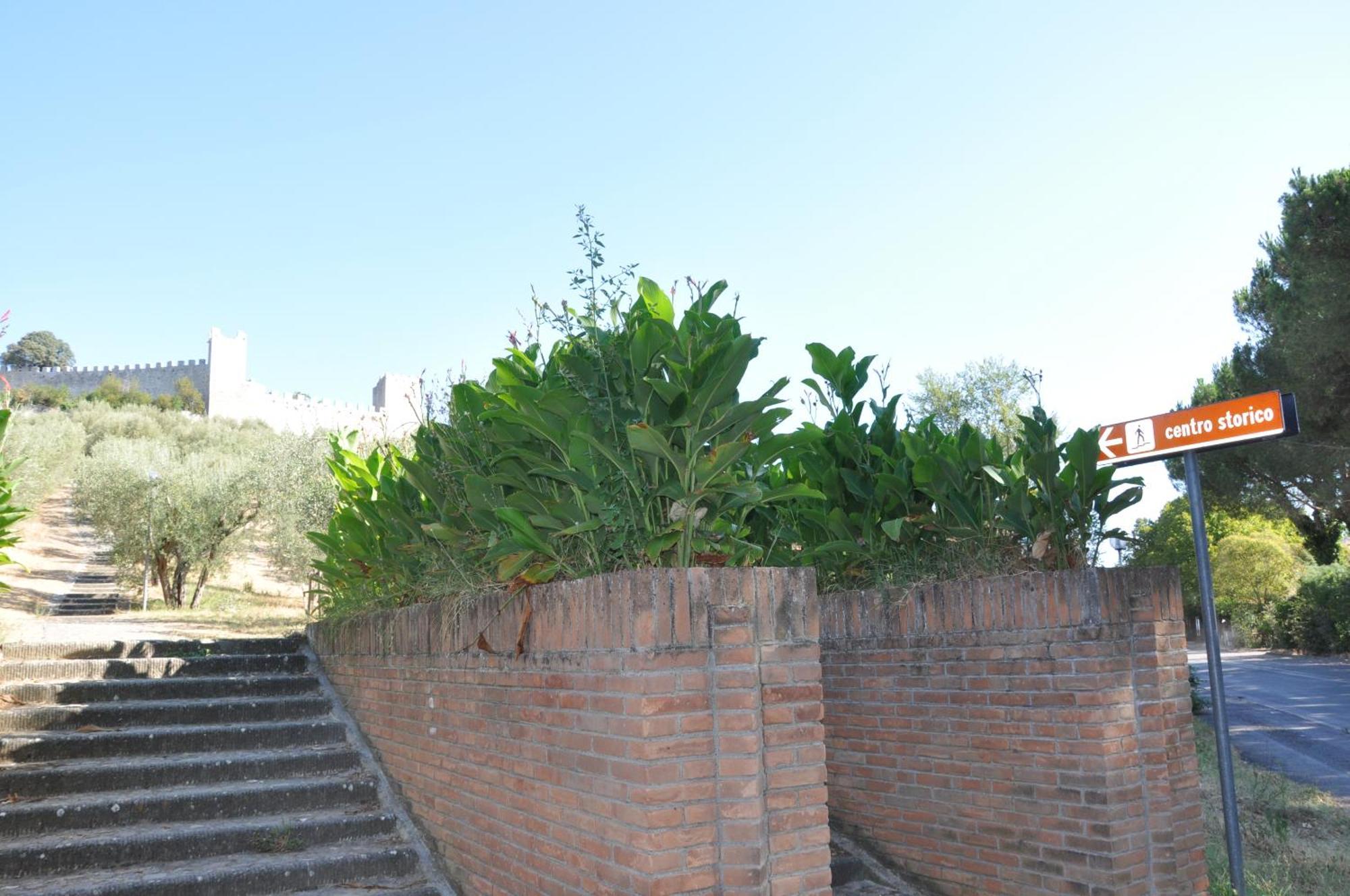 Residence Al Lago Castiglione del Lago Dış mekan fotoğraf